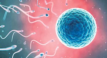 Meningkatkan Kualitas Sperma, Bagaimana Caranya?