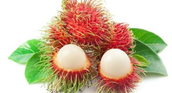 Rahasia Sehat di Balik Buah Leci yang Manis
