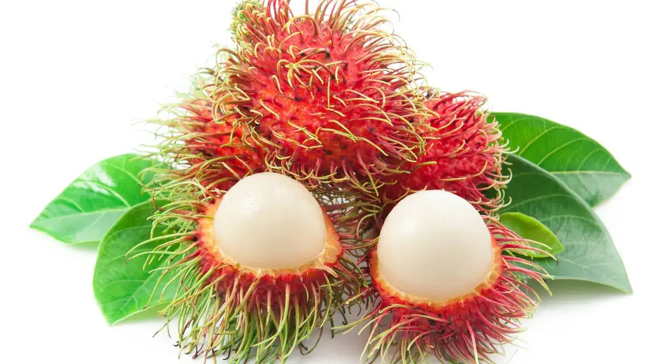 buah leci