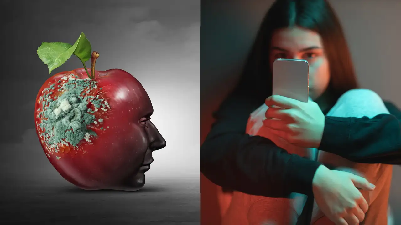 brain rot