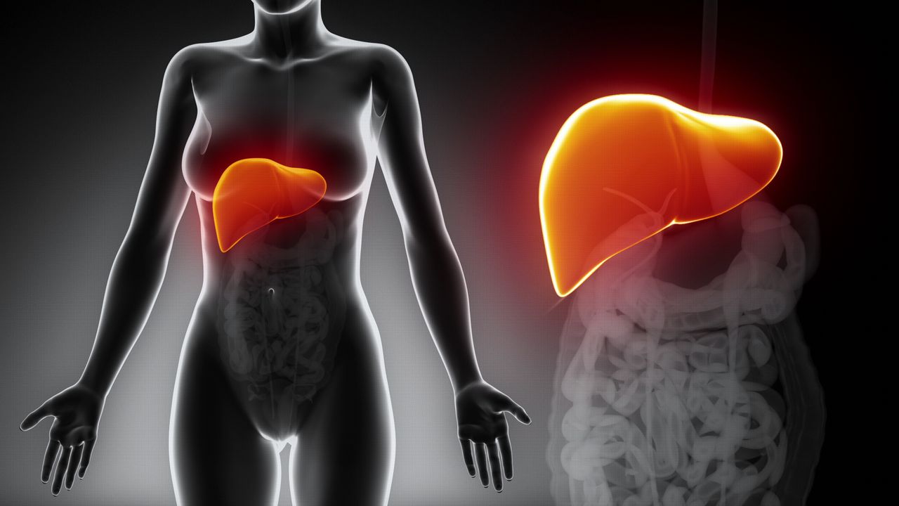 kesehatan liver