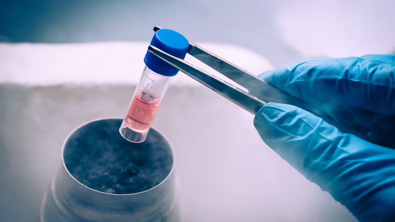 stem cell