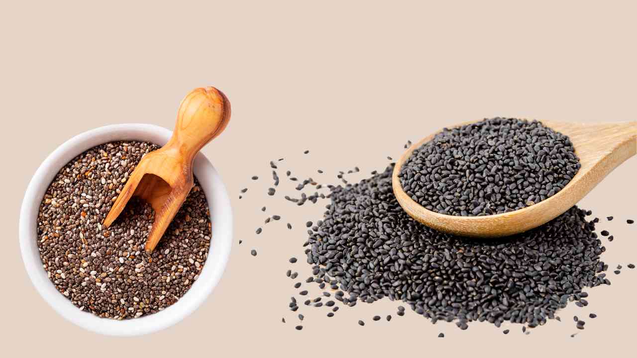 chia seed