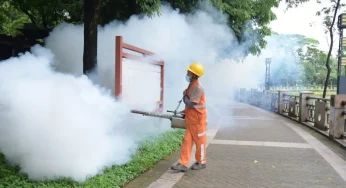 Singapura Waspada Lonjakan Kasus Chikungunya