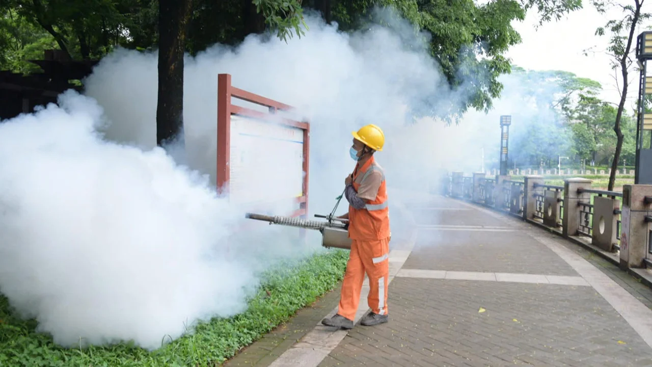kasus chikungunya