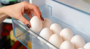 Tips Menyimpan Telur di Kulkas agar Awet dan Segar Lebih Lama