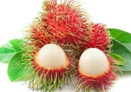 buah leci